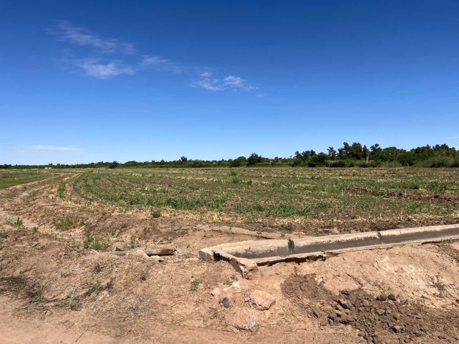 0 Bedroom Property for Sale in Middelpos Northern Cape